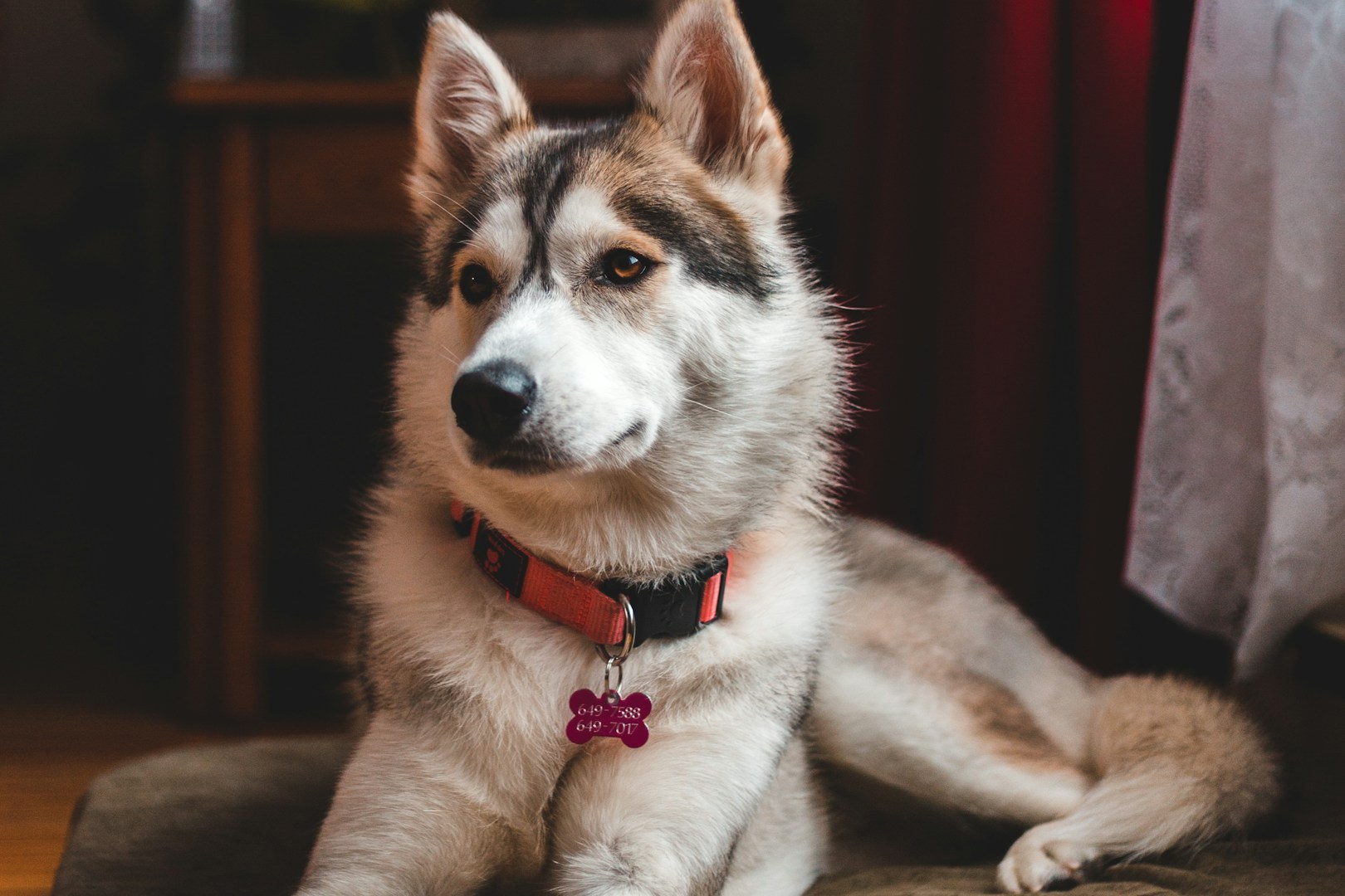 Privathaftpflichtversicherung